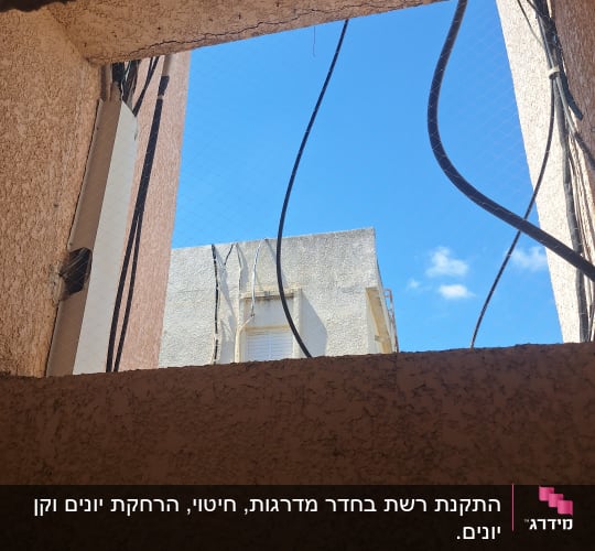 רשת למניעת כניסת יונים בחלון בניין